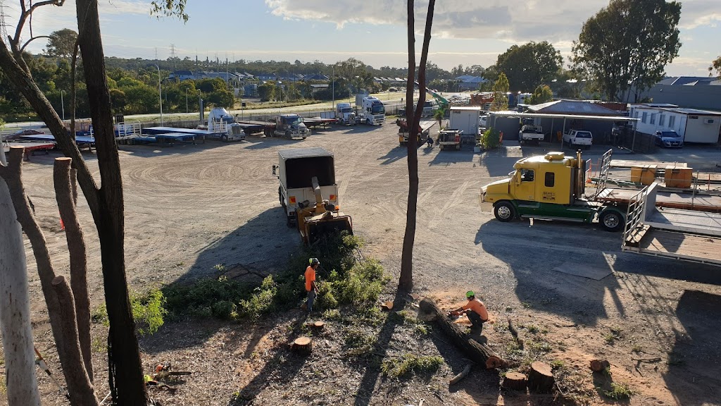 Tree Smart Brisbane - Tree Lopping and Stump Grinding |  | 27 Bettson Blvd, Griffin QLD 4503, Australia | 0487369639 OR +61 487 369 639