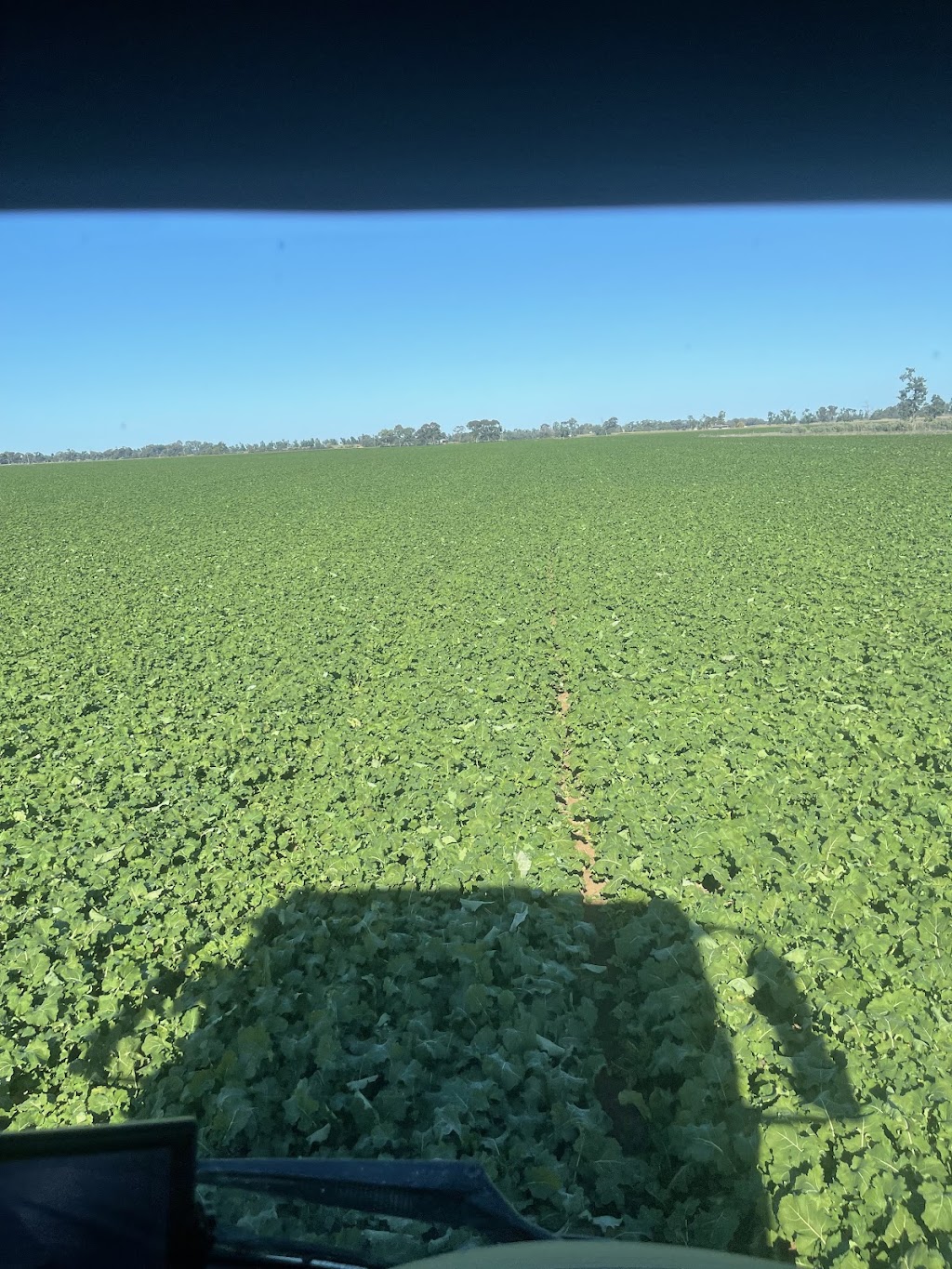 Lloyd spreading | 364 Hay Rd, Deniliquin NSW 2710, Australia | Phone: 0477 008 750