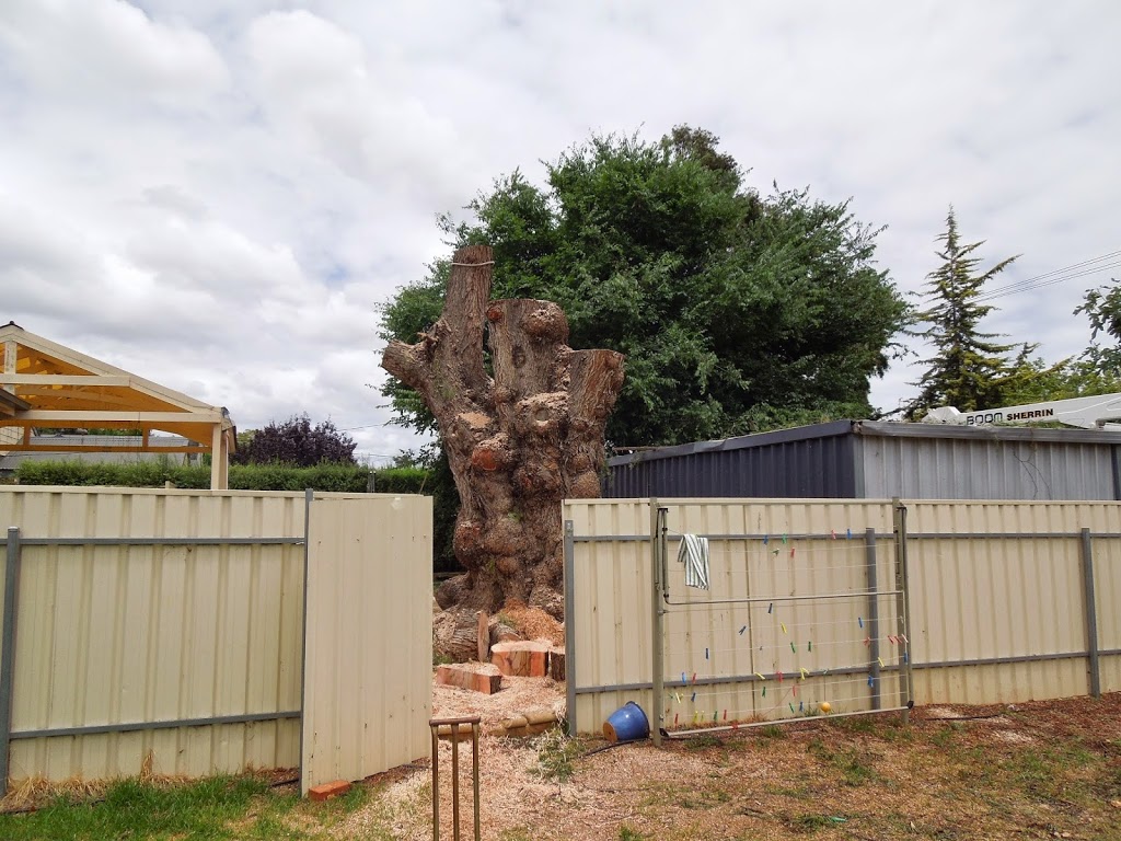 Rite Way Tree Services | 8 Bond St, Happy Valley SA 5159, Australia | Phone: 0404 039 123