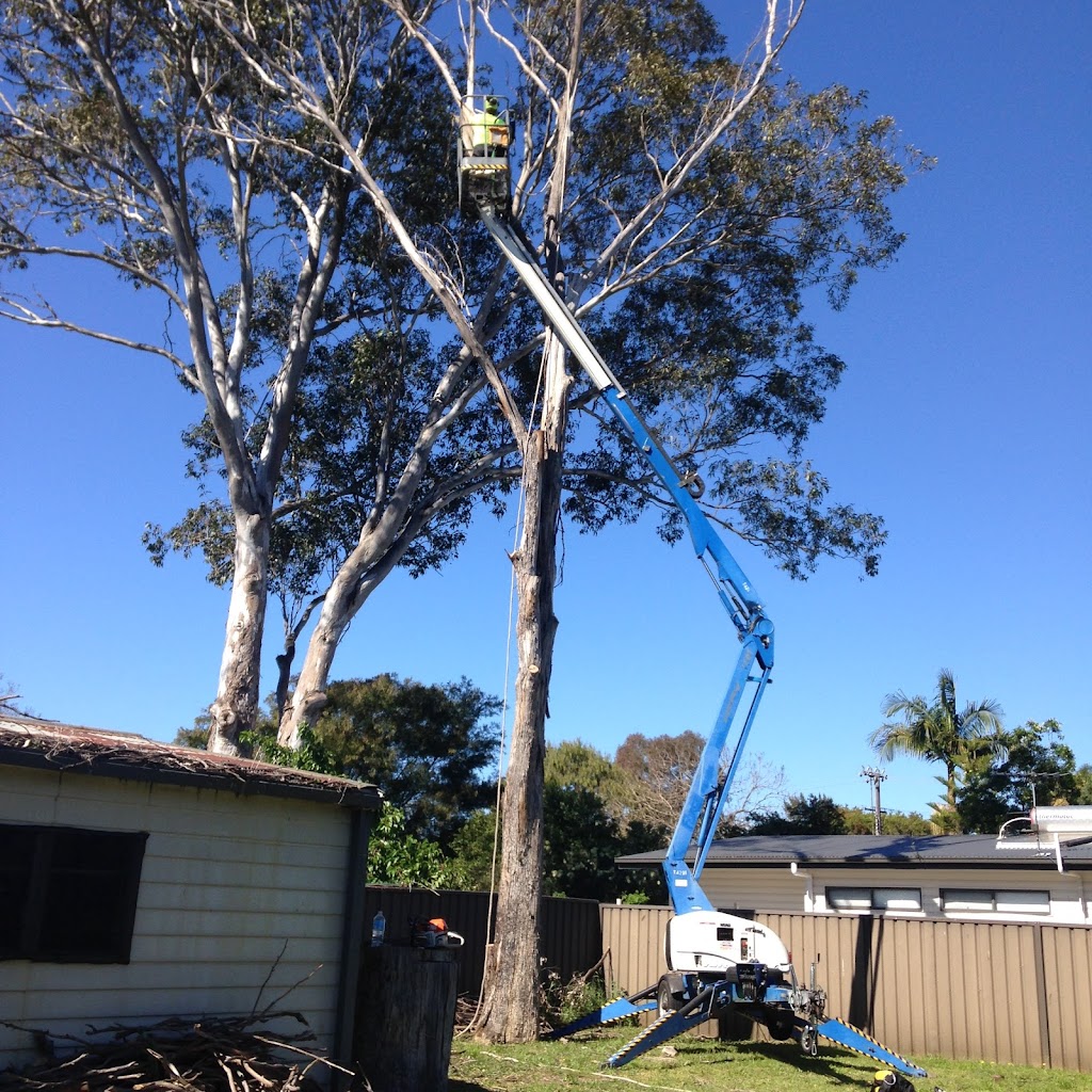 Nsw tree works | 261 Auburn Rd, Auburn NSW 2144, Australia | Phone: 0405 030 770