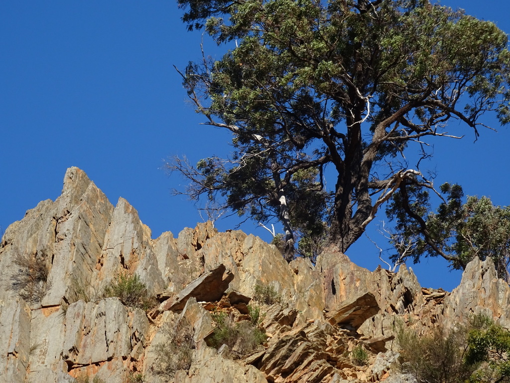 Lerderderg State Park | park | Lerderderg Gorge Rd, Bacchus Marsh VIC 3340, Australia | 131963 OR +61 131963