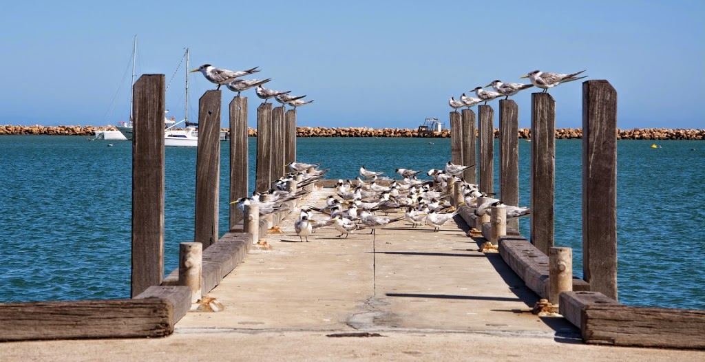 Dongara Port Denison Visitor Centre | 9 Waldeck St, Dongara WA 6525, Australia | Phone: (08) 9927 1404