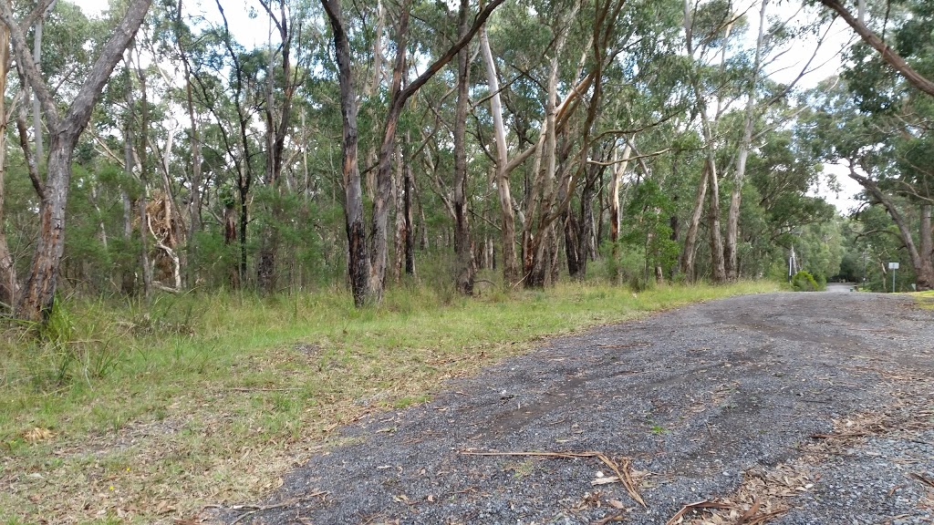 Baluk Willam Nature Conservation Reserve | park | Courtneys Rd, Belgrave South VIC 3160, Australia | 131963 OR +61 131963