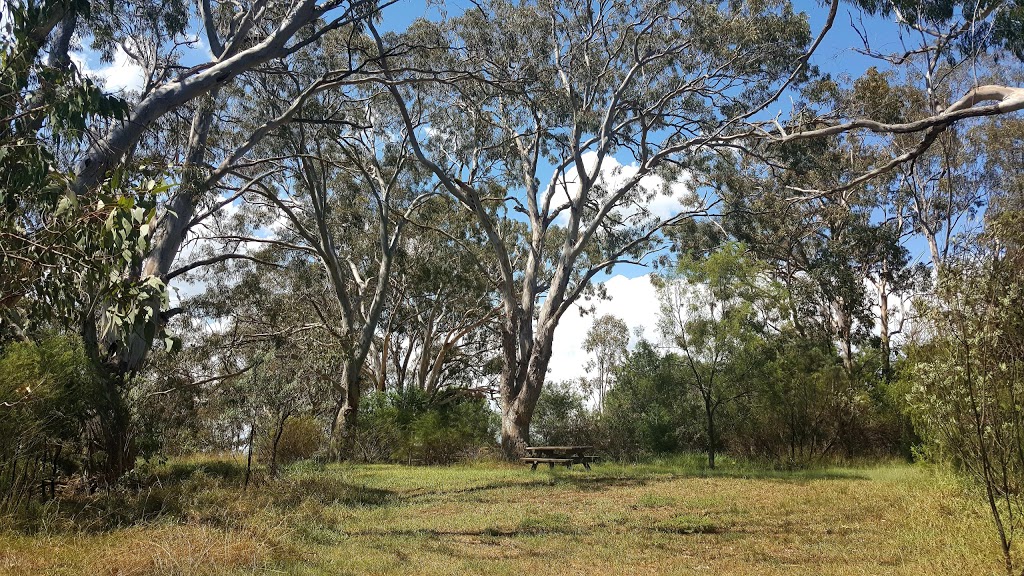 Tenterfield Park | park | Derby St, Tenterfield NSW 2372, Australia