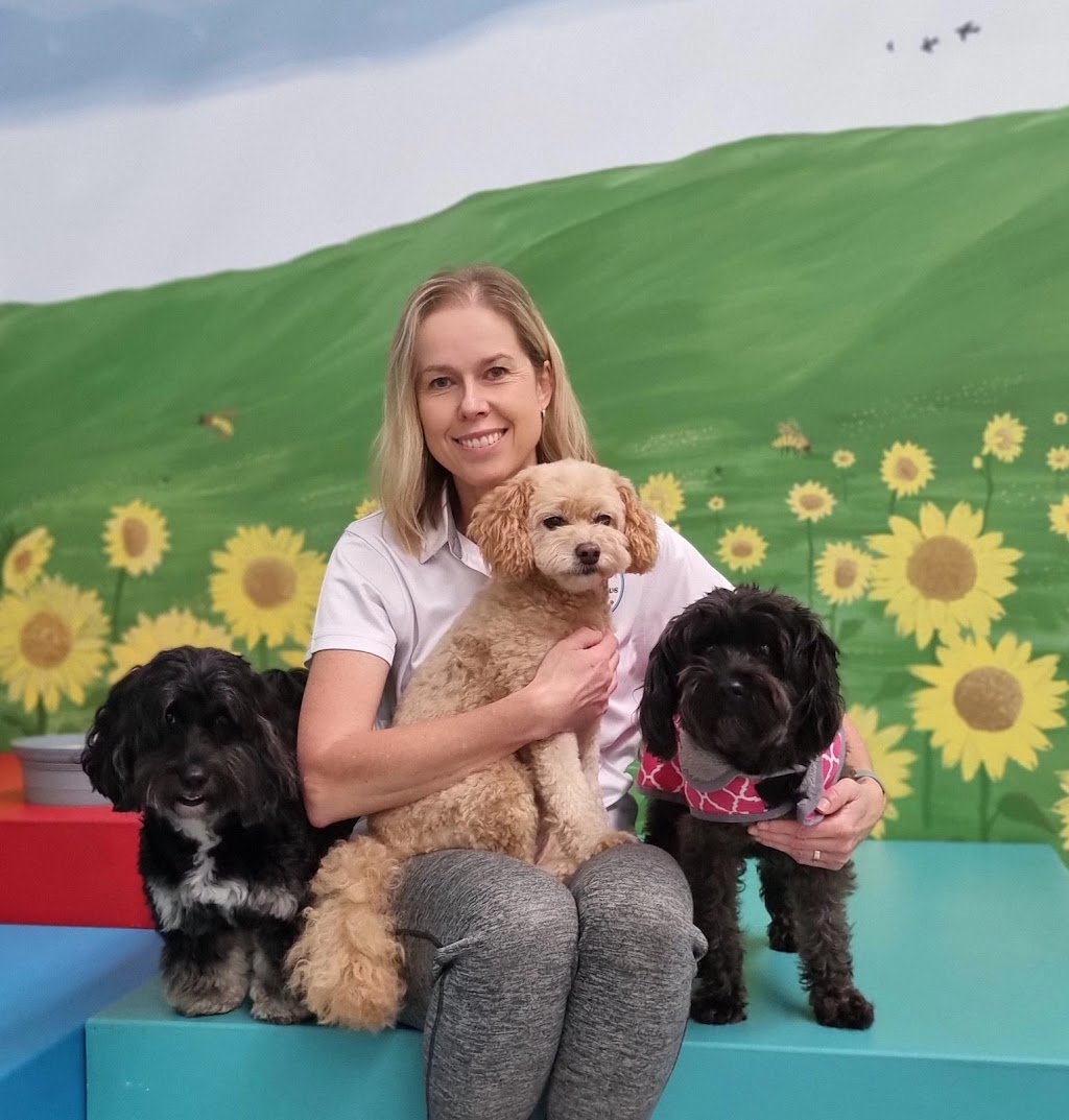Simply Paws Daycare For Dogs | 1/13 Yandina Rd, West Gosford NSW 2250, Australia | Phone: 0415 838 082