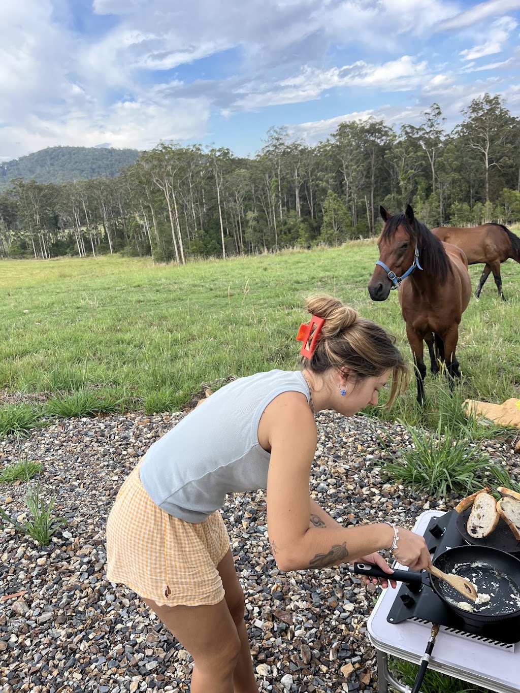 Lucky Stars Sanctuary | 167 Herivels Rd, Wootton NSW 2423, Australia | Phone: 0477 213 385