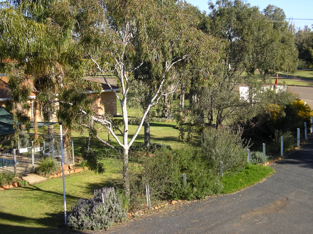 Macquarie Caravan Park | rv park | 2 Hospital Road, Ravenswood NSW 2824, Australia | 0268474706 OR +61 2 6847 4706