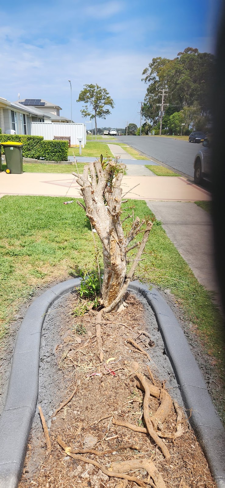 Brett continuous concrete kerbing garden edging | 3 Bottlebrush Pl, Lakewood NSW 2443, Australia | Phone: 0470 018 422