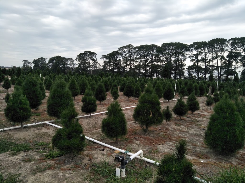 Dandenong Christmas Tree Farm | 336 Brown Rd, Officer VIC 3809, Australia | Phone: 1300 655 652