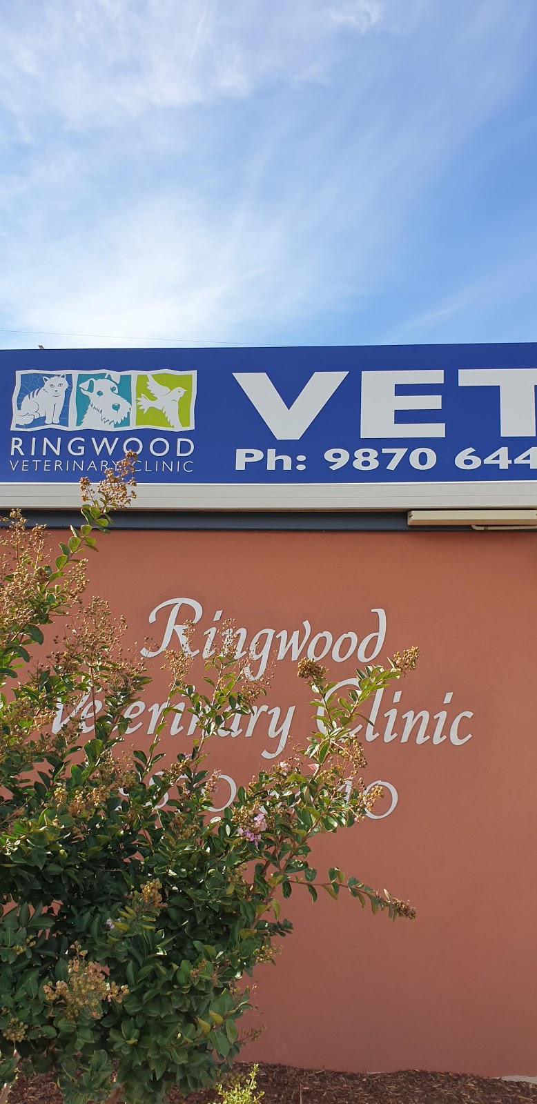 Ringwood Veterinary Clinic | veterinary care | 1 Maroondah Hwy, Ringwood VIC 3134, Australia | 0398706440 OR +61 3 9870 6440
