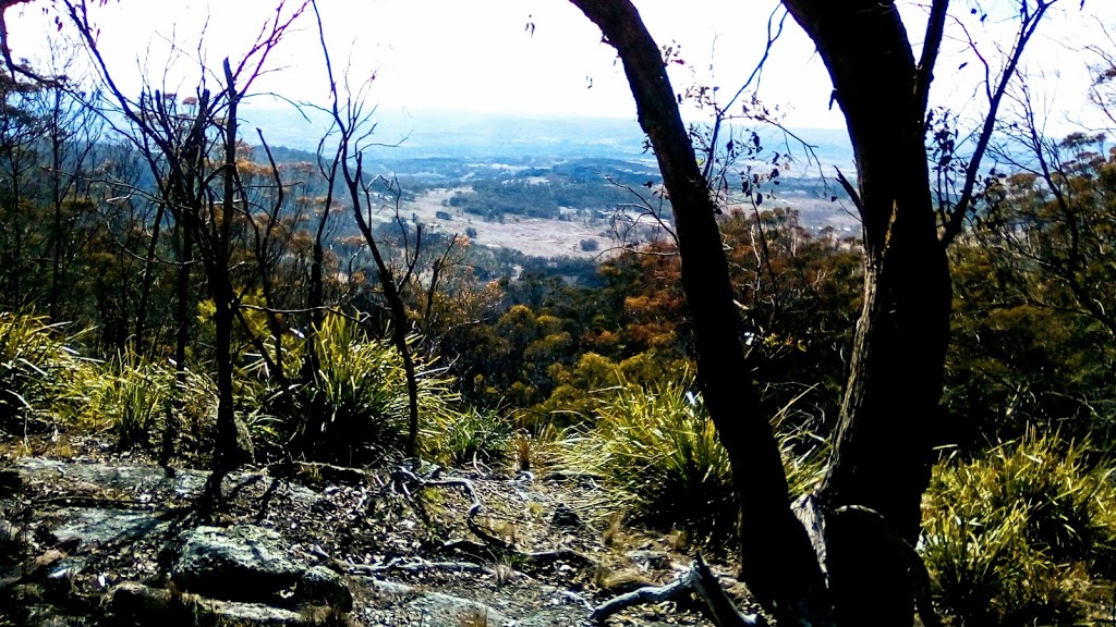 Mount MacKenzie Nature Reserve | Tenterfield NSW 2372, Australia