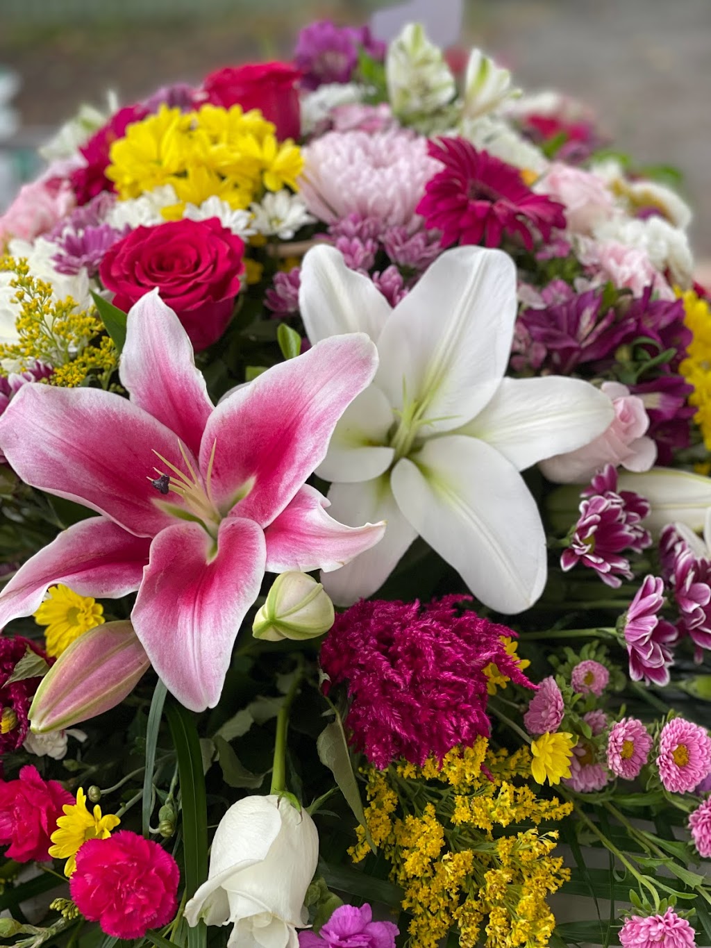 Nursery on Mertin | 45 Mertin St, Bourke NSW 2840, Australia | Phone: 0427 723 230