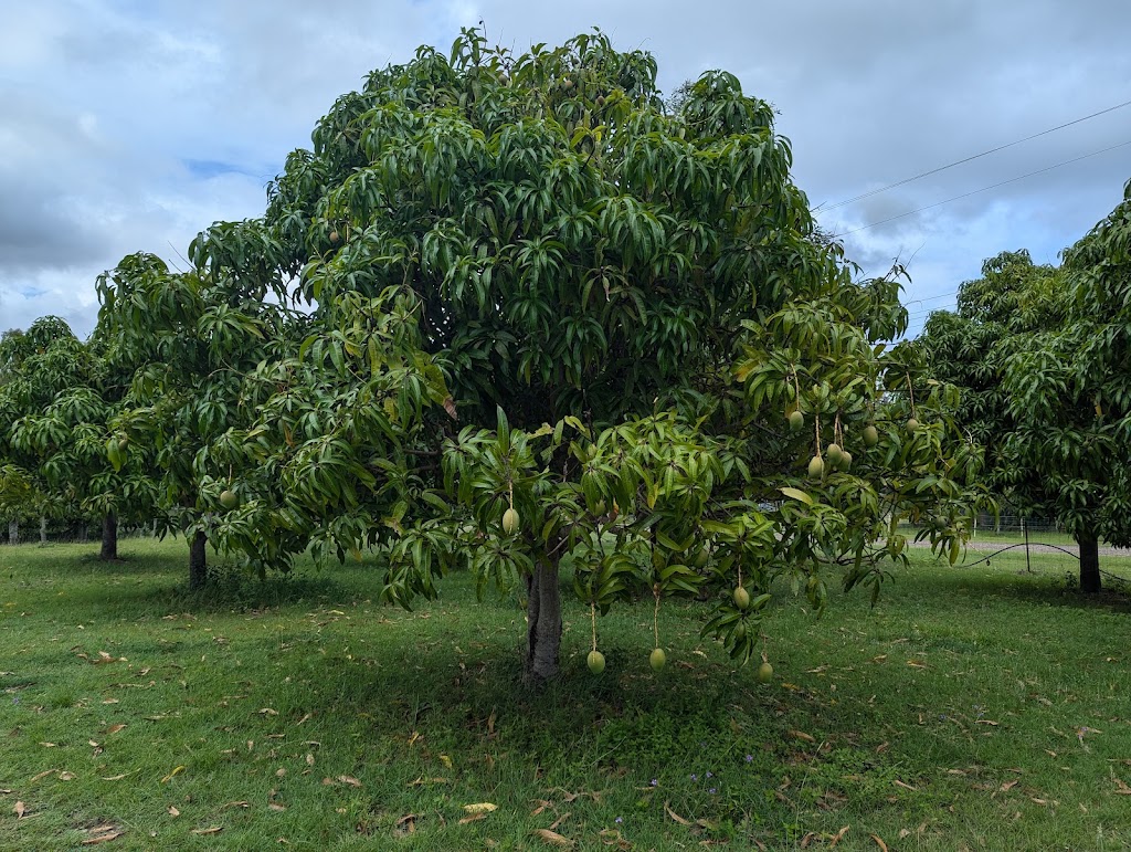 Valinor Valley Farm | Waterhouse Rd, Summerholm QLD 4341, Australia | Phone: 0490 816 523