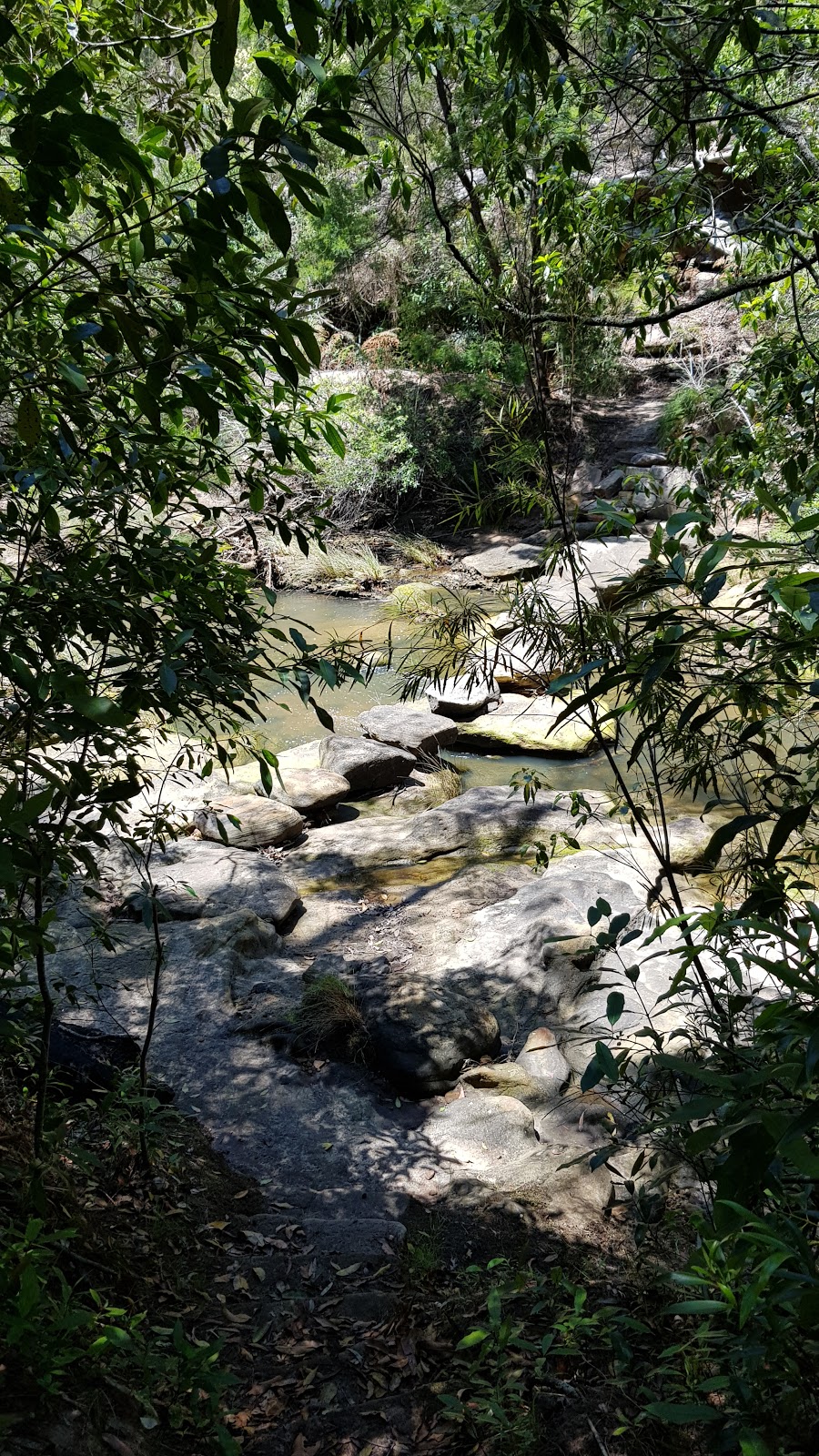 Stepping Stone Crossing | Middle Harbour Creek Track, St. Ives NSW 2075, Australia