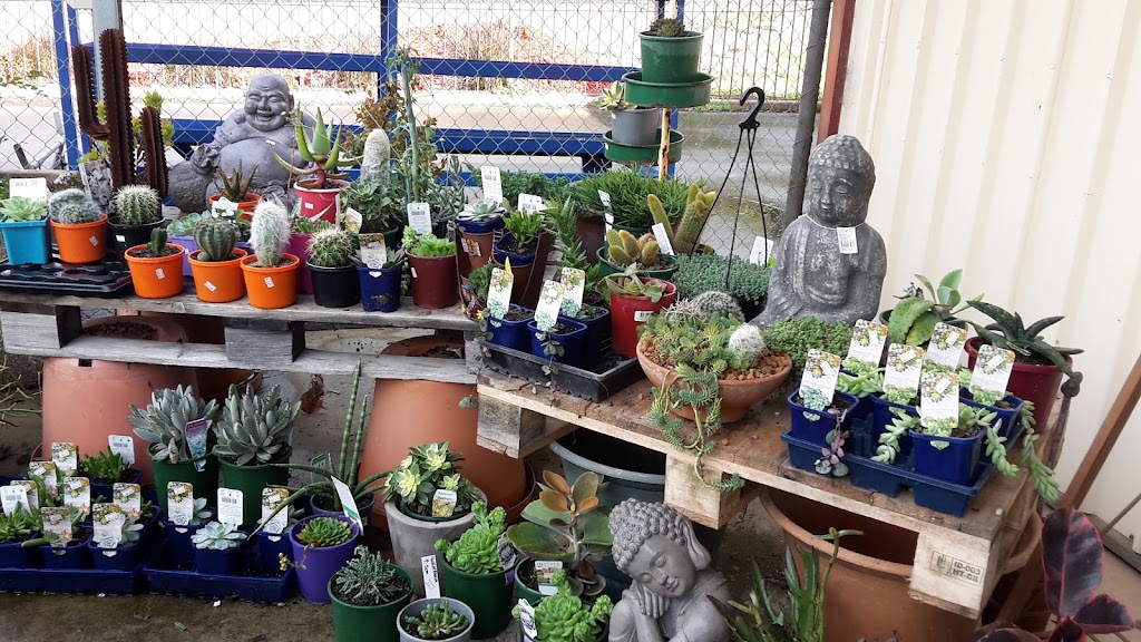 Hillview Garden Centre |  | 200 Hampton St, Bridgetown WA 6255, Australia | 0897611672 OR +61 8 9761 1672