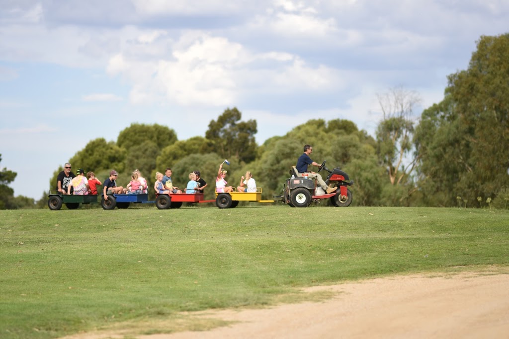 Tocumwal Golf & Bowls Club | lodging | Barooga Rd, Tocumwal NSW 2714, Australia | 0358749111 OR +61 3 5874 9111