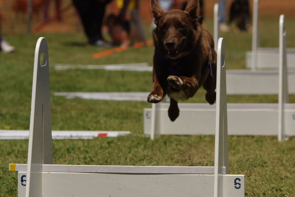Ballarat Dog Obedience | school | Military Dr, Newington VIC 3350, Australia