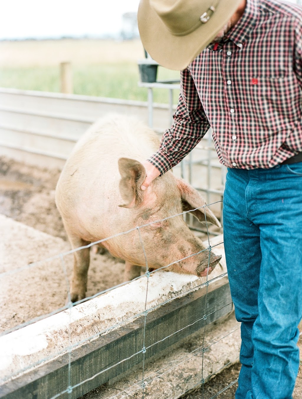 Eaglehawk Creek Farm Produce | 1115 Traralgon-Maffra Rd, Glengarry North VIC 3854, Australia | Phone: 0411 872 807