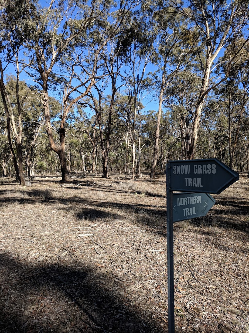 Yina Nature Reserve | park | Armidale NSW 2350, Australia