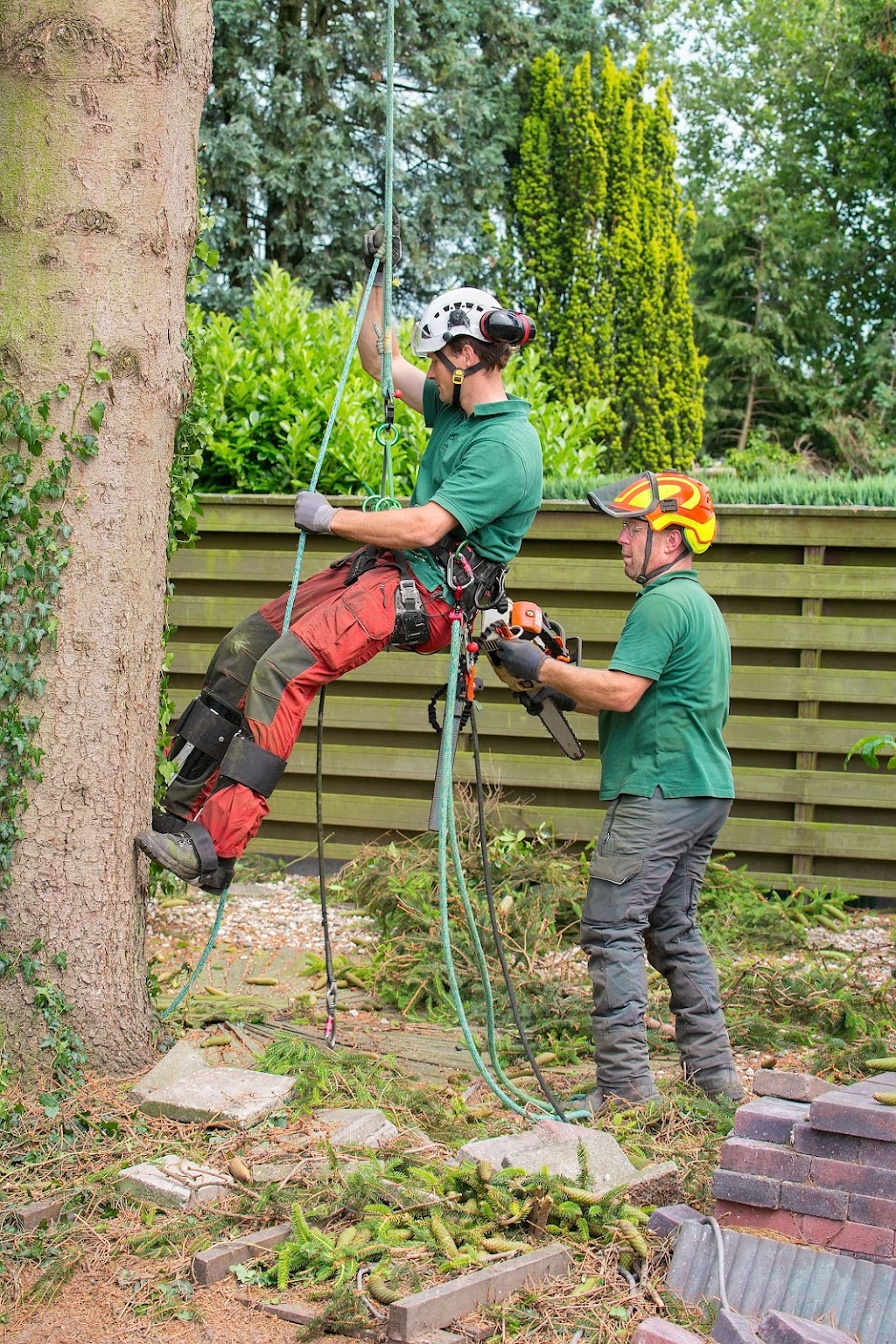 Canberra Tree Service | 31 Musgrave St, Yarralumla ACT 2600, Australia | Phone: (02) 6105 9997