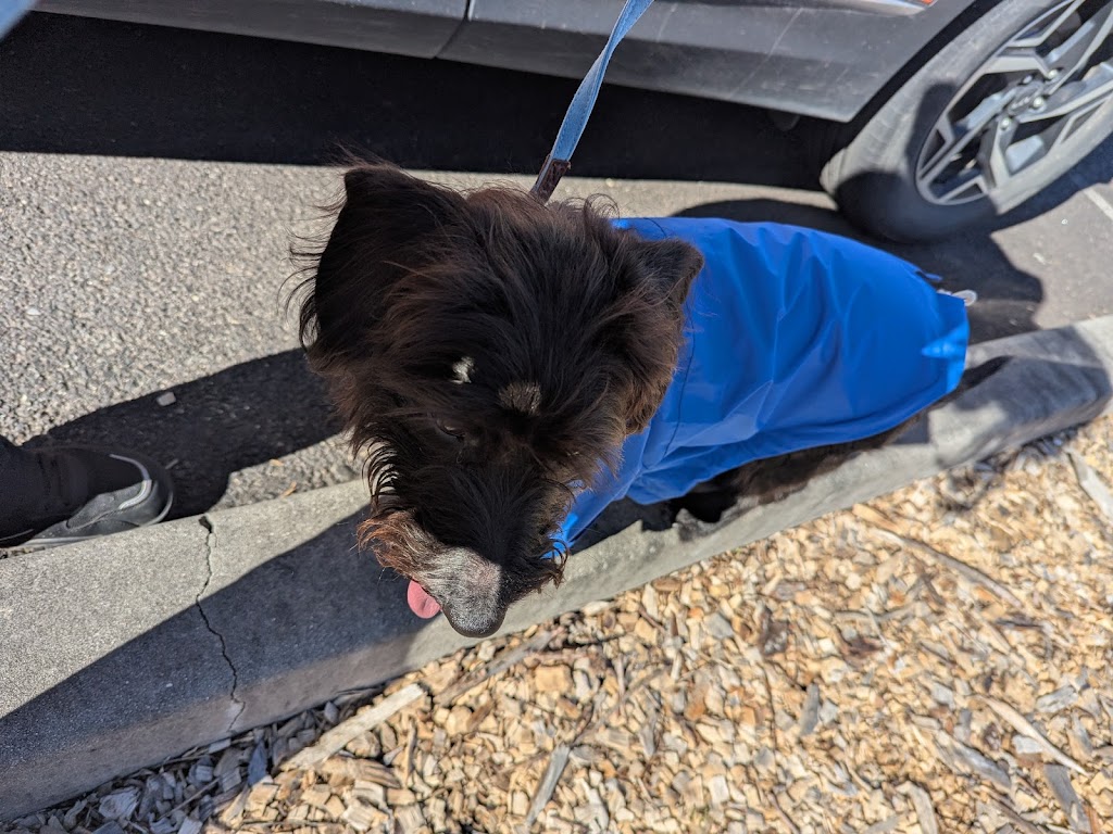 Pets Domain | Pottery Plaza, Shop 6 and Shop 8B Valley Dr, Lithgow NSW 2790, Australia | Phone: (02) 5325 3923