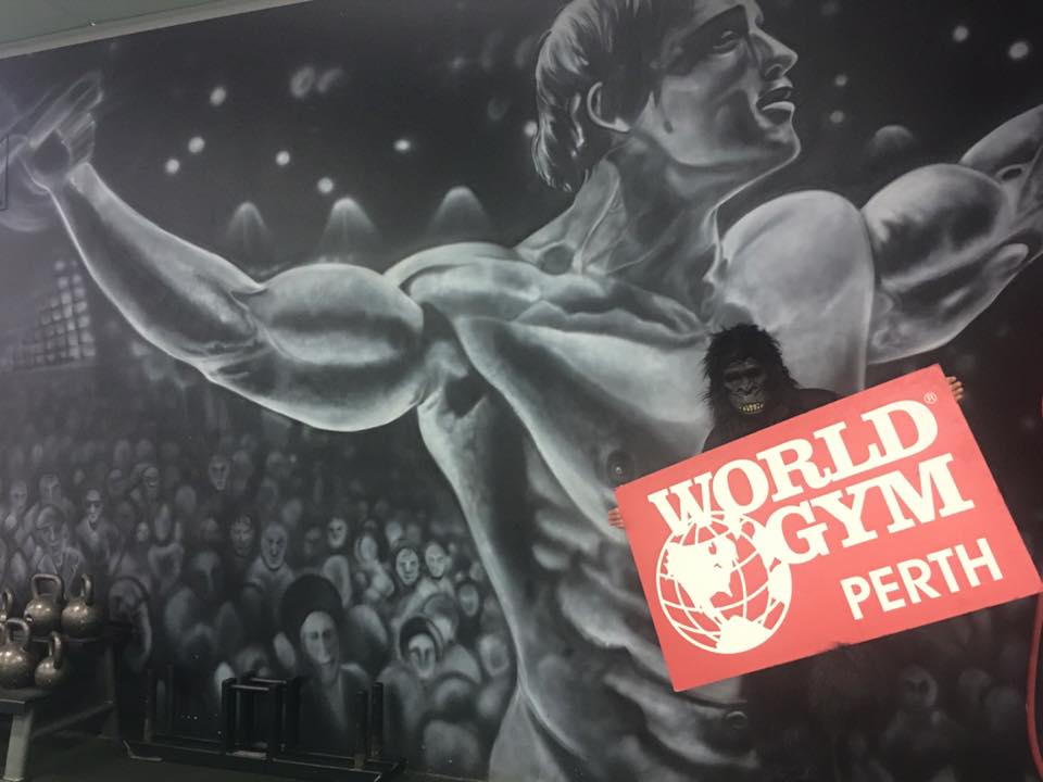 World Gym Malaga | gym | 7 Exhibition Dr, Malaga WA 6090, Australia | 0439742269 OR +61 439 742 269