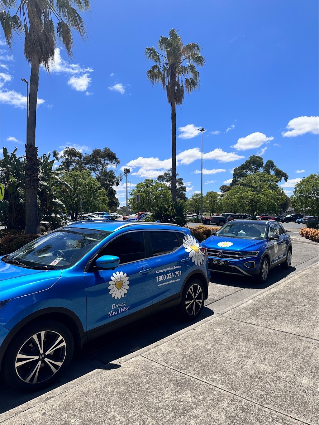 Driving Miss Daisy Melton South | Strathtulloh VIC 3338, Australia | Phone: 0457 117 846