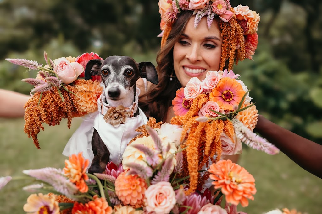 Tannorwood Flower Farm | 80 Dooralong Rdg Dr, Dooralong NSW 2259, Australia | Phone: 0402 299 319