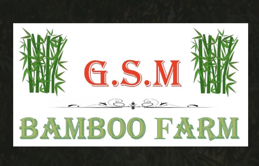 Gsm Bamboo Farm | Lot 1 Bakers Rd, Bauple QLD 4650, Australia | Phone: 0432 258 504
