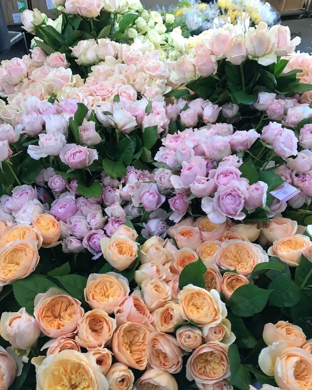 Just Flowers | 1/54 Browns Rd, Kingston TAS 7050, Australia | Phone: (03) 6227 2404