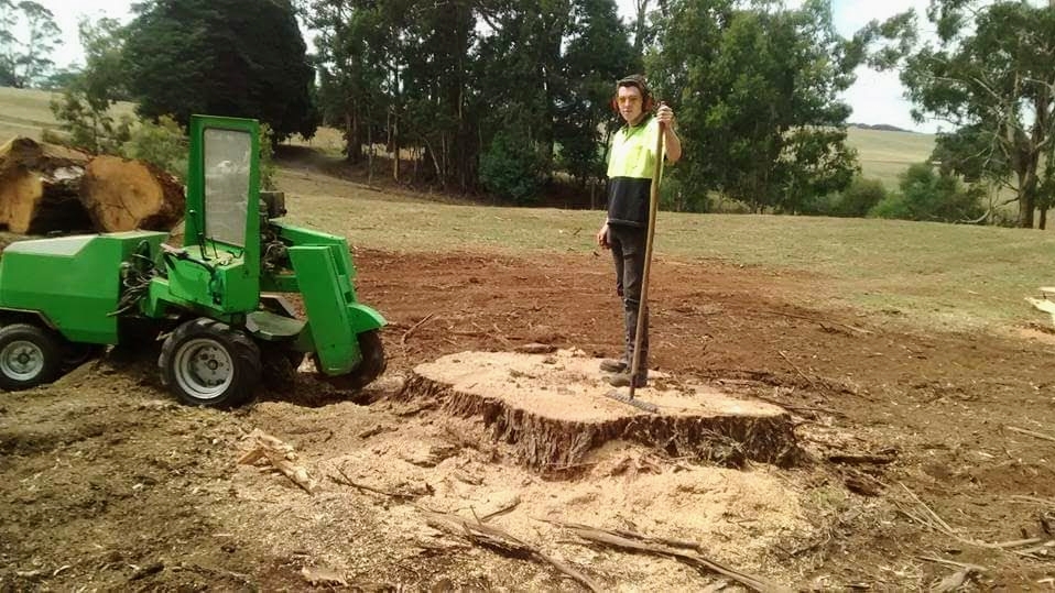 Gippsland Stump Grinding Services | 4 Dalpura Ct, Churchill VIC 3842, Australia | Phone: 0402 733 963