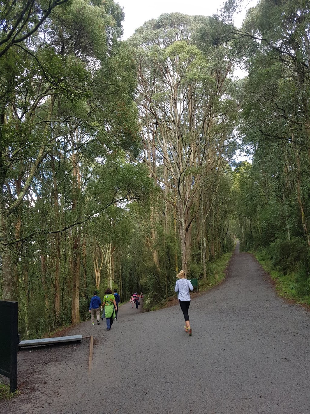 Kokoda Memorial Walk | Tree Fern Gully Track, Tremont VIC 3785, Australia