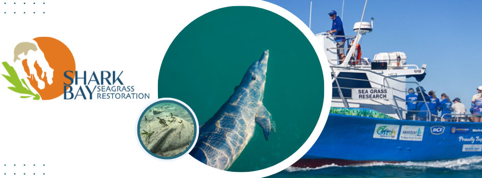 Shark Bay Seagrass Restoration | 1 Monkey Mia Rd, Monkey Mia WA 6537, Australia | Phone: 0428 835 468