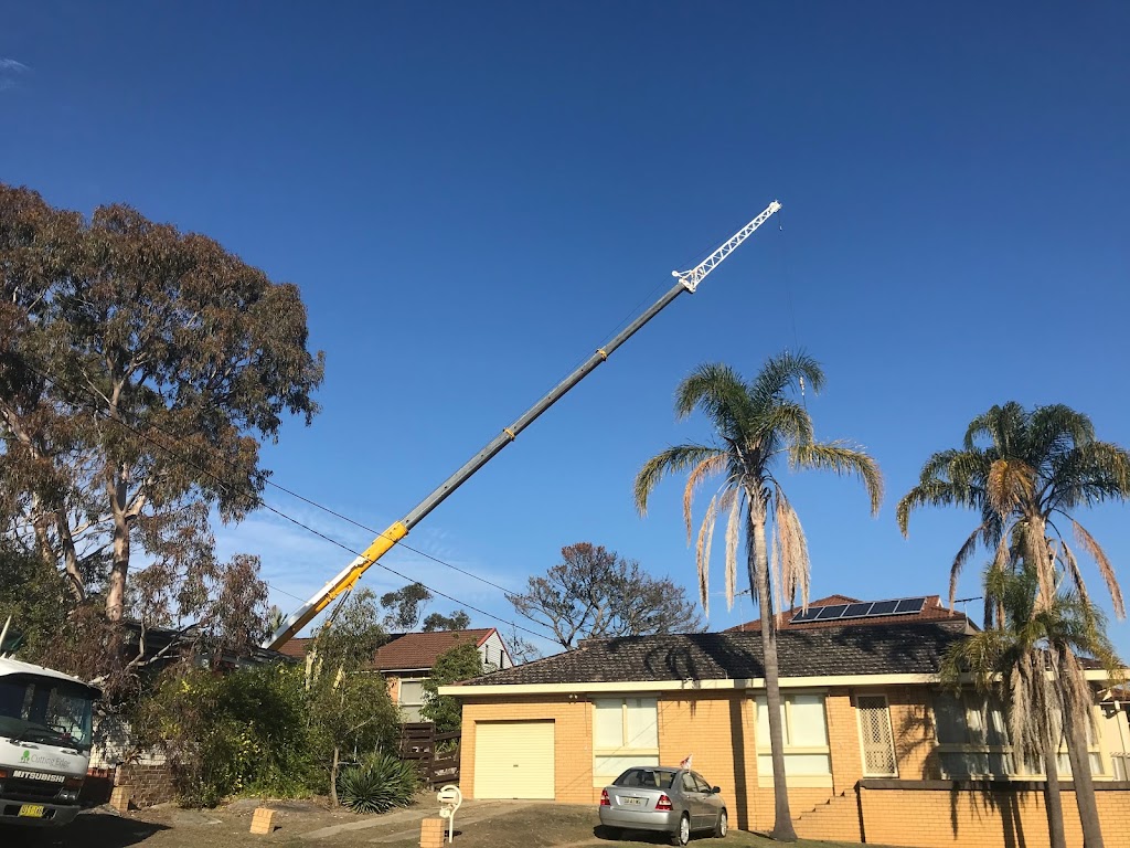 Sydney Wide Cranes | 116/120 E Wilchard Rd, Castlereagh NSW 2749, Australia | Phone: 0487 190 670