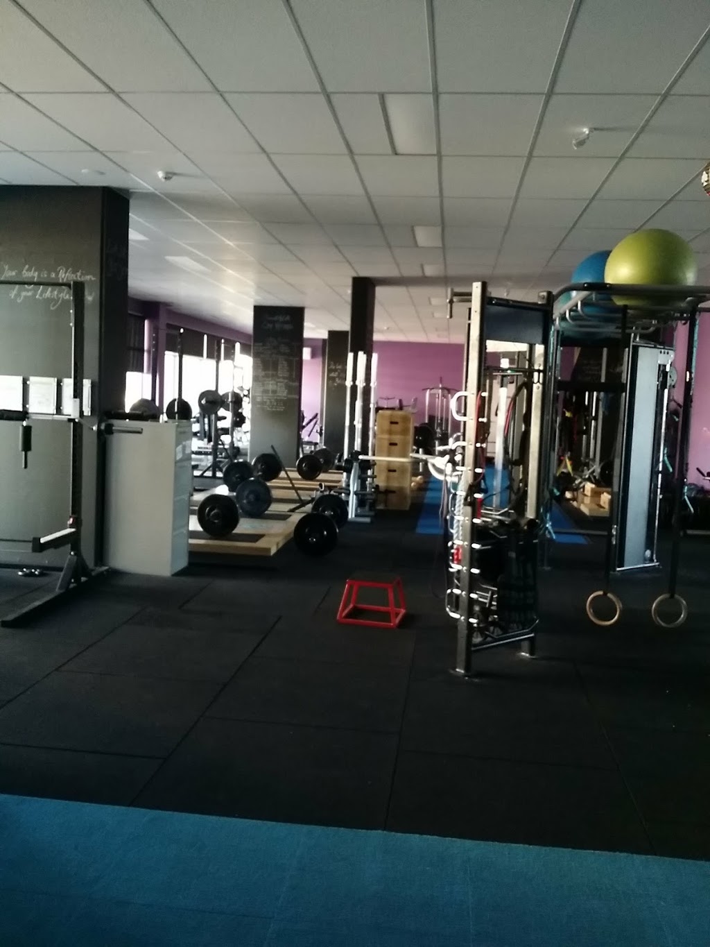Elements4Life Team Training Centre | gym | Unit 79 -81 / 170 Flemington Road, Harrison ACT 2914, Australia