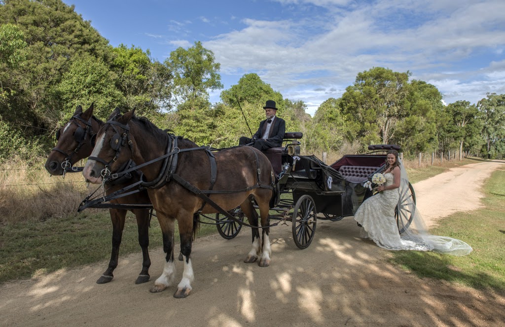 Sunshine Carriages | 30 Heilbronn Rd, Jones Hill QLD 4570, Australia | Phone: (07) 5482 3358