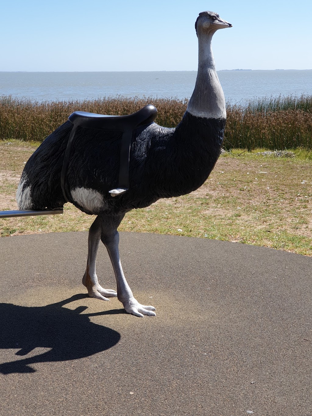 Meningie Lions Jubilee Park | park | Princes Hwy, Meningie SA 5264, Australia