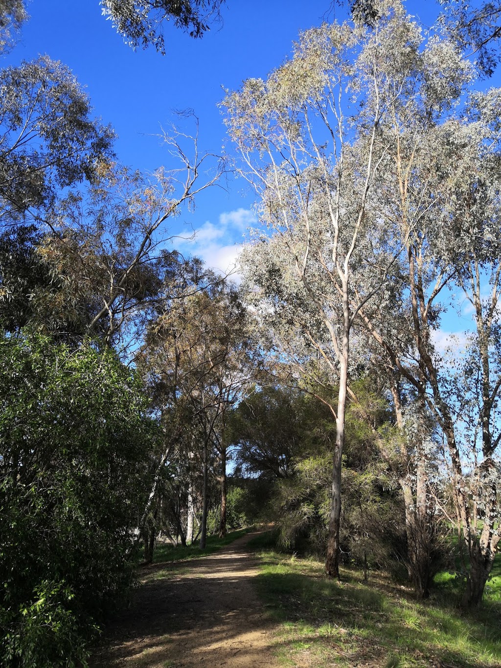 Ramez garden | park | Mount Austin NSW 2650, Australia