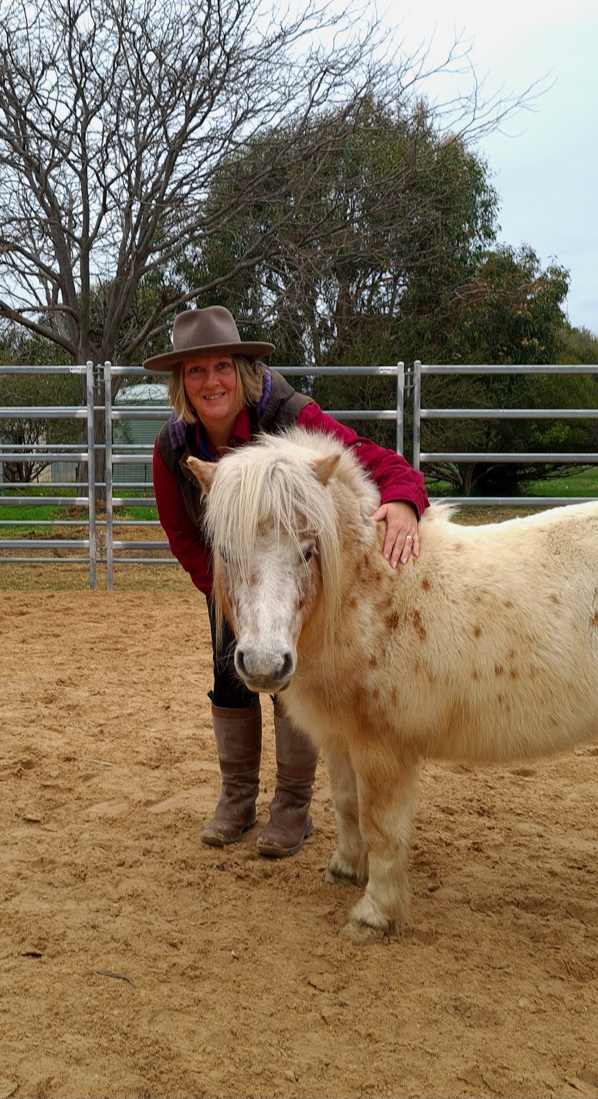 Bellview Connection Equine Assisted Therapy & Counselling | 258 Glue Pot Rd, Pomonal VIC 3381, Australia | Phone: 0429 353 680