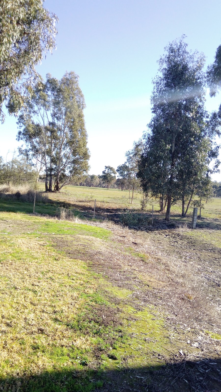 Wangaratta Common Nature Conservation Reserve | Tone Rd, Wangaratta VIC 3677, Australia | Phone: 13 19 63