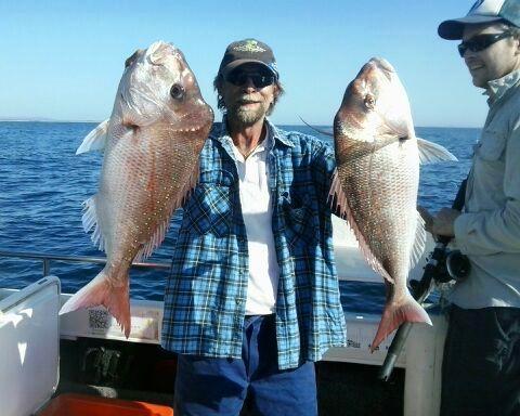 Best Gold Coast Fishing Charters | 1 Muriel Henchman Dr, Main Beach QLD 4217, Australia | Phone: 0427 026 519