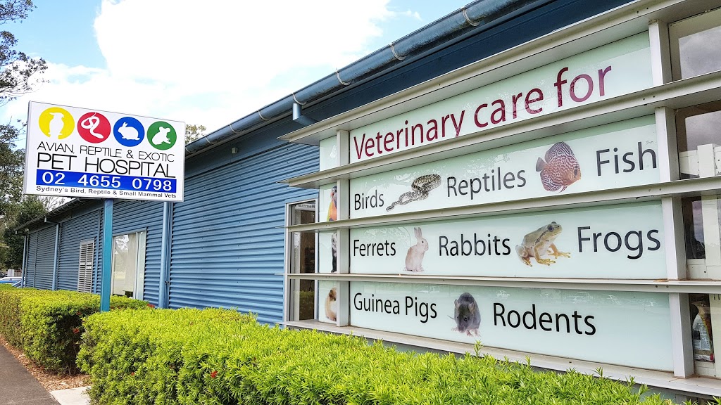 Avian Reptile & Exotic Pet Hospital | 425 Werombi Rd, Brownlow Hill NSW 2570, Australia | Phone: (02) 4655 0798