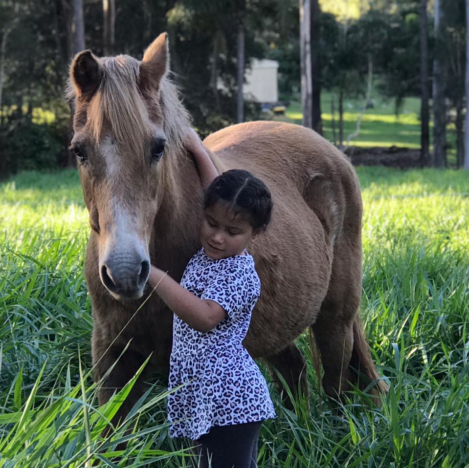 The stables counselling & equine therapy | Sugars Rd, Anstead QLD 4070, Australia | Phone: 0447 460 347