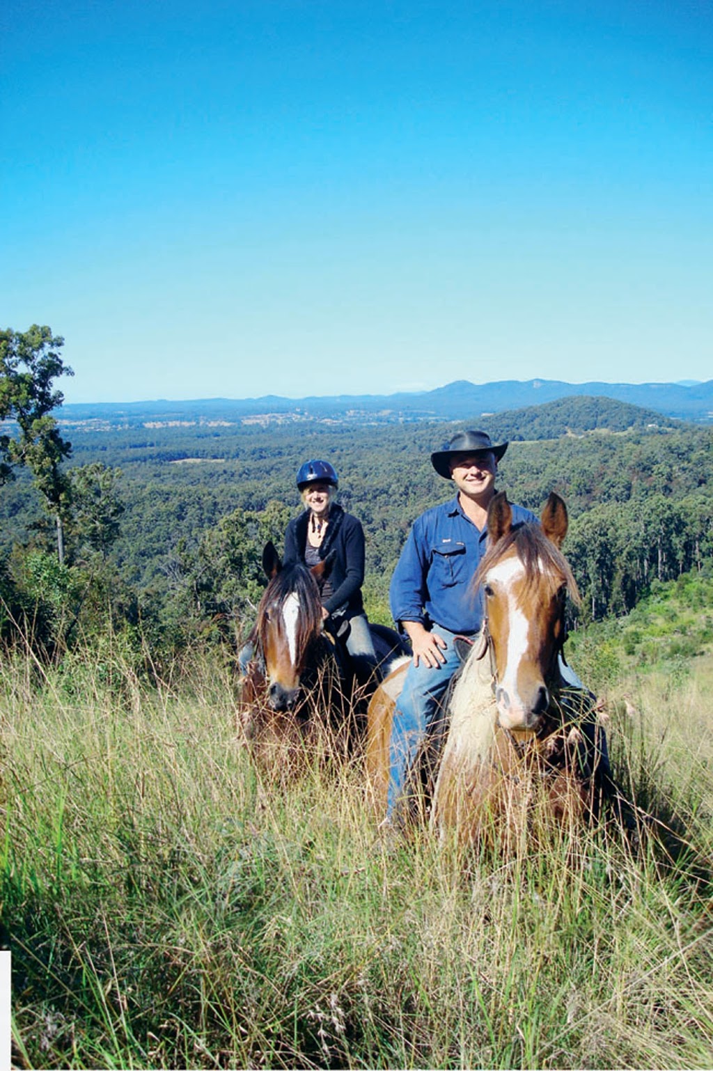 Bellrowan Valley Horse Riding | travel agency | 20 Crows Rd, Mortons Creek NSW 2446, Australia | 0265875227 OR +61 2 6587 5227