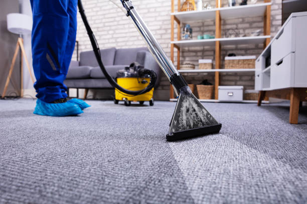 Sydney Cleaning & Pest Control Services | 24 Highview St, Blacktown NSW 2148, Australia | Phone: 0415 431 307