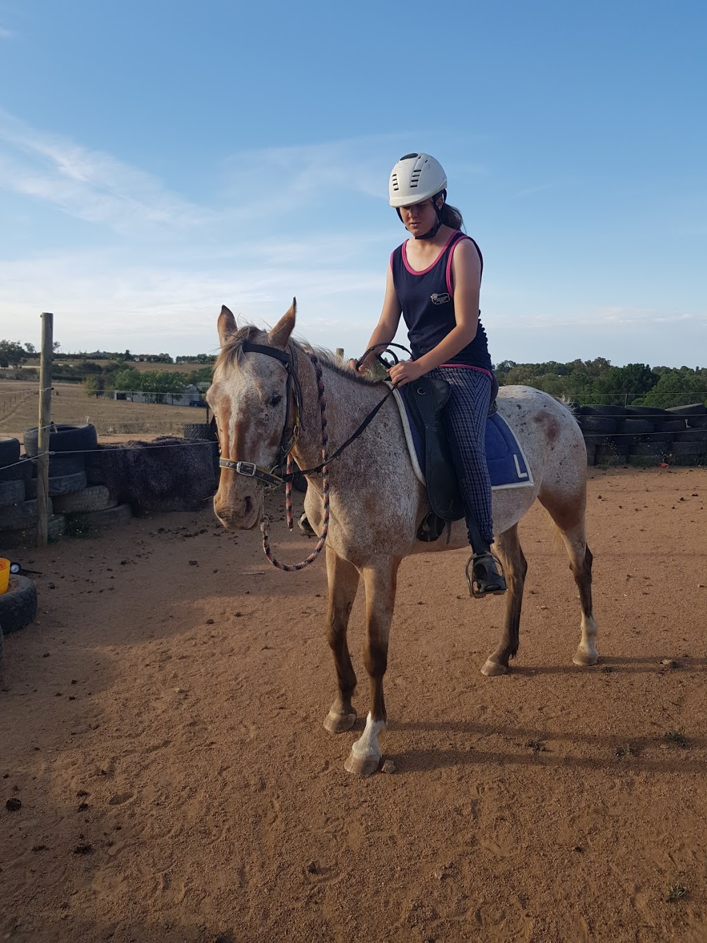 Buy and sell Training and breaking horse service | 49 Cherry Vale Pl, Young NSW 2594, Australia | Phone: 0458 275 879