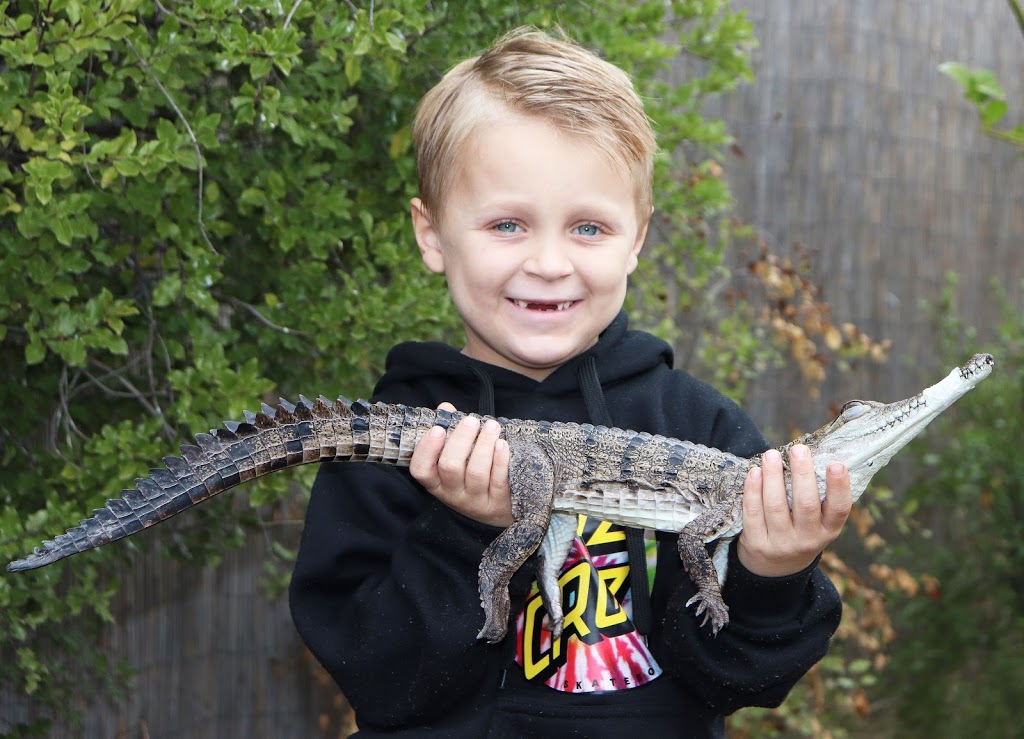 TZR Reptiles and Wildlife | home goods store | Bendigo VIC 3550, Australia | 0423627145 OR +61 423 627 145