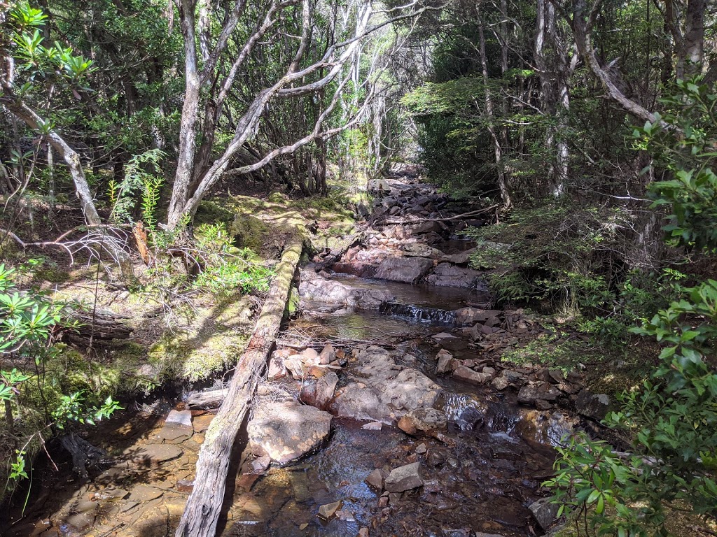 Mount Victoria Forest Reserve | park | Tasmania, Australia