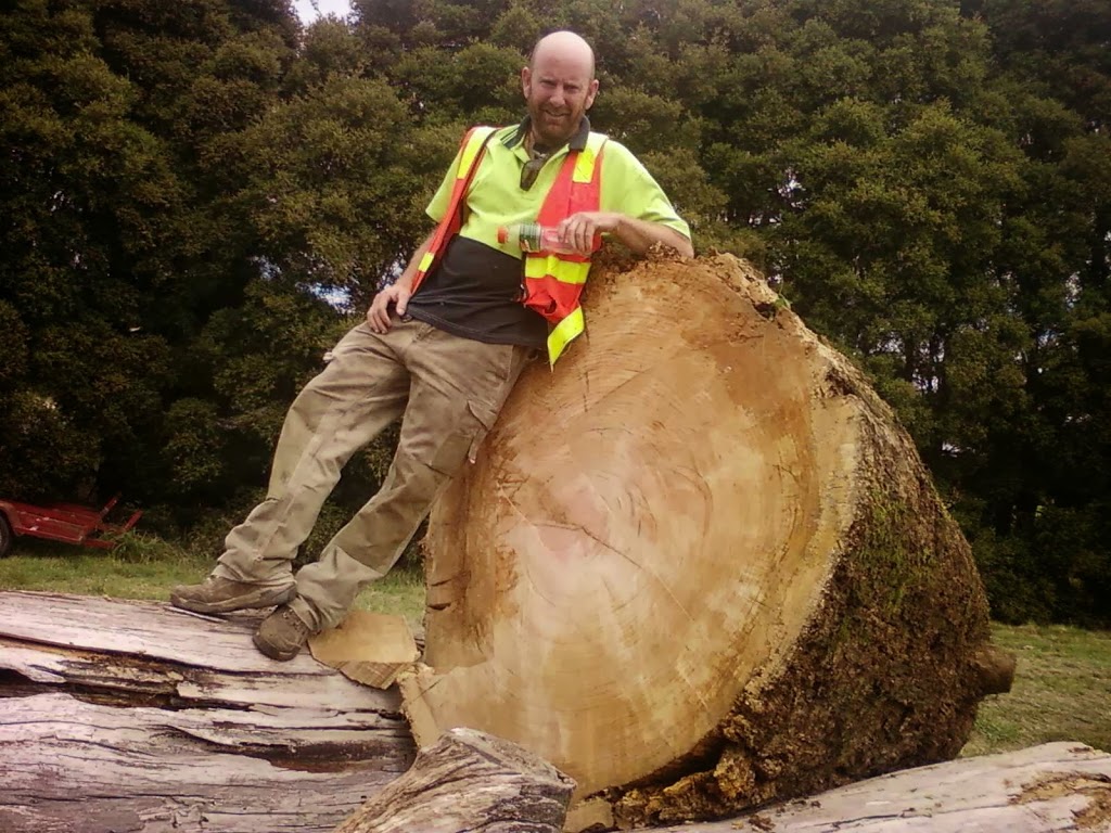 GardenGlow Tree Care | Moroney St, Boronia VIC 3155, Australia | Phone: (03) 9779 0478