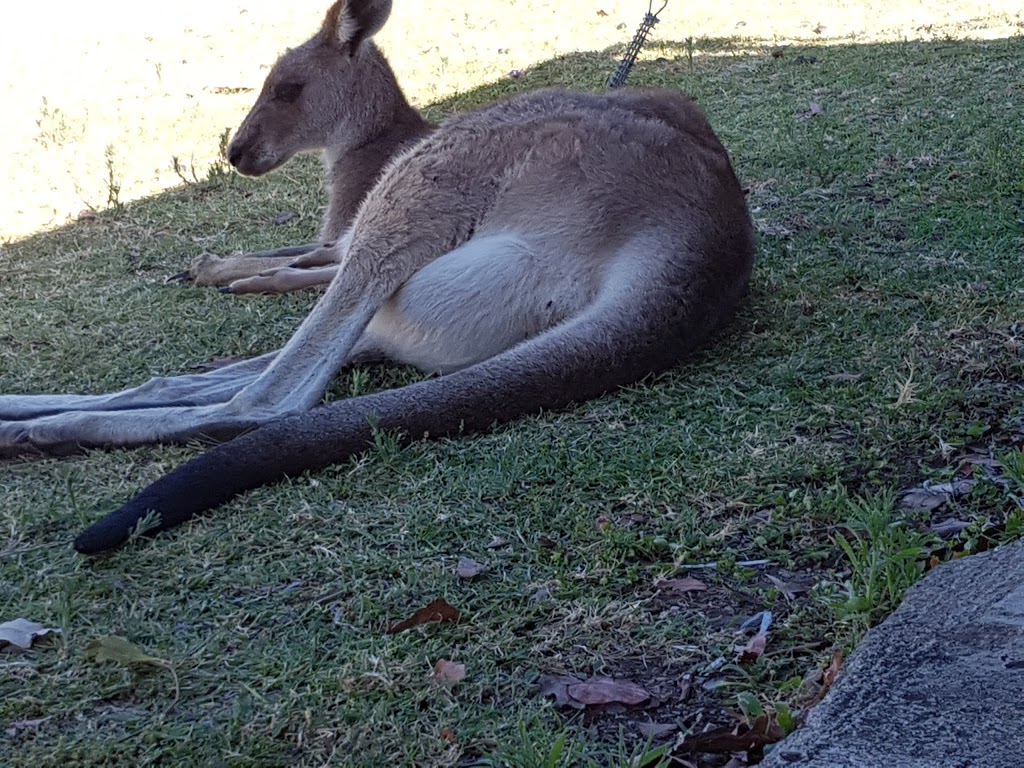 Glenlyon Dam Tourist Park | Glenlyon QLD 4380, Australia